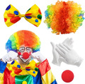 Clown Kostüm Accessoire,Clown Lockenperücke Erwachsene + Clownsnase + Bunte Clow