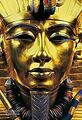 Le trésor de Toutankhamon von Hawass, Zahi | Buch | Zustand akzeptabel