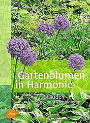 Gartenblumen in Harmonie: Stauden gekonnt kombinier... | Buch | Zustand sehr gutGeld sparen & nachhaltig shoppen!