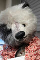 schöner gr. Teddybär  Batik von * Honigbär * von Citra Nagler ein Traumbär Rar