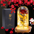 LED Ewige Rose im Glas Frauen Valentinstag Konservierte Rose Muttertag Geschenk