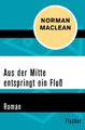 Aus der Mitte entspringt ein Fluss | Norman Maclean | Roman | Taschenbuch | 2015