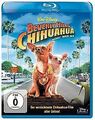 Beverly Hills Chihuahua [Blu-ray] von Gosnell, Raja | DVD | Zustand sehr gut