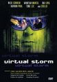 Virtual Storm DVD gebr. gut