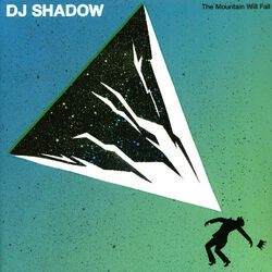 DJ Shadow - The Mountain Will Fall (Vinyl 2LP - 2016 - US - Original)