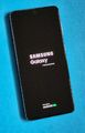 Samsung Galaxy S21 5G 256 GB, SM-G991B/DS, Phantom Gray,  Topzustand, OVP