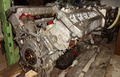 Mercedes-Benz CL 420 C140 (W140) SEC (9) Motor M 119 E 42 205 kW/279PS