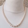 Edle Alte Perlenkette Verlauf Perlen Kette Collier. 48cm. 27gr. Einzeln geknotet