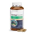 Grünlippmuschel-Kapseln 500 mg | Gelenkknorpel | 300 Stück von Sanct Bernhard