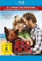 Red Dog - (Josh Lucas) - BLU-RAY-NEU