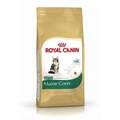 Royal Canin Katzen Trockenfutter Feline Kitten Maine Coon 36 400g