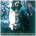 Are You Gonna Go My Way ? von Lenny Kravitz | CD | Zustand gut