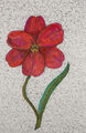 Terry Buchanan (b.1938) - 2003 Federzeichnung, Die Rote Blume