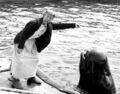 384244 Beverly Hillbillies Irene Ryan and Beluga Whale WALL PRINT POSTER DE