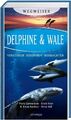Delphine & Wale
