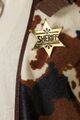 Sheriff-Stern gold mit Nadel Cowboy Sheriff Wilder Westen Karneval Fasching