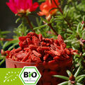 Bio Goji Beeren - 1kg - 500g - 250g - kontrolliert biologischer Anbau