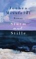 Sturm und Stille | Buch | 9783499242533