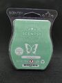 Scentsy - Wax - Bar - Scent - Melts - Duftrichtung Just Breathe