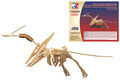 Holz 3D Puzzle - Pteranodon