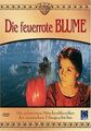 Die feuerrote Blume von Irina Powolozkaja | DVD | Zustand gut