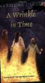 A Wrinkle in Time (Madeleine L'Engle's Time Quint... | Buch | Zustand akzeptabel