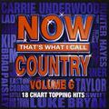 Now That's What I Call Country Vol. 6 verschiedene 2013 CDs Top Qualität
