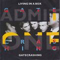 ★★ 7" - LIVING IN A BOX - Gatecrashing