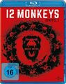 12 Monkeys - Staffel 1 (3 Discs)