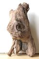 Treibholz Schwemmholz Driftwood  1 knorrige   Skulptur Basteln Dekoration 27 cm