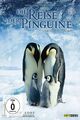 Die Reise der Pinguine [DVD] Zustand Gut