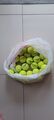 25 Marken-Tennisbälle gebraucht sauber gelagert drinnen im Club Großpackung 30 20 gemischt