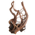 Aquascaping-Wood Dragon-Wood !! Auswahl per Foto !! Moorwurzel Mangrove Moorkien