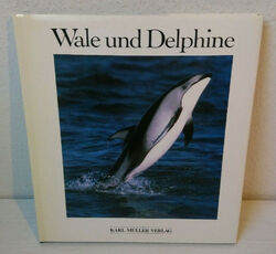 Wale und Delphine - Karl Müller Verlag - Super Zustand - 30x28x2 cm - Gebunden