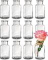 12 Mini Glasvasen 12,5cm Deko Blumen Vase Flasche Hochzeit klein Väschen Set