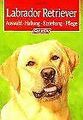 Labrador Retriever. Auswahl - Haltung - Erziehung... | Buch | Zustand akzeptabel