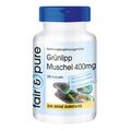 Grünlipp Muschel 400 mg - 180 Kapseln + Ingwer, Yucca, Vitamin E | fair & pure 