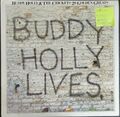 Buddy Holly and the Crickets 20 Golden Greats Vinyl Schallplatte sehr guter Zustand/Sehr guter Zustand + EMTV8 1977
