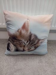 Niedliches Tabby Kätzchen Kissen 43x43cm Lounge Sofa Kätzchen Kinder Mädchen Schlafzimmer