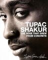 The Rose that Grew from Concrete von Tupac Shakur | Buch | Zustand sehr gut