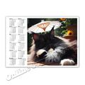 Katzenkalender + + Taschenkalender 2024  |  Cat Calendar 2024 [K24]
