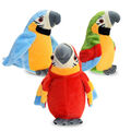 Rot Labertier Sprechender Papagei Vogel Chatter Laber parrot plappert alles nach