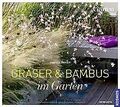 Gräser & Bambus im Garten von Richter, Gabriele | Buch | Zustand gut