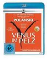 Venus im Pelz [Blu-ray] von Polanski, Roman | DVD | Zustand neu