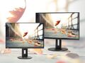 Fujitsu B24-9 TS 23,8 Zoll Full HD IPS LED-Monitor - Schwarz - Original Verpackt