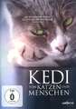 Kedi - Von Katzen und Menschen - Universum Film GmbH 0000AN70170 - (DVD Video /