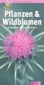 Pflanzen und Wildblumen erkennen & bestimmen: Weg... | Buch | Zustand akzeptabel