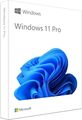 Microsoft Windows 11 Professional Pro Key per SOFORT E-Mail