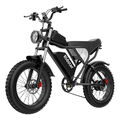 20 Zoll Elektrofahrrad 4.0 Fat Tire Mountainbike MTB 1000W 48V 20Ah Akku E-Bike