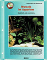 Wurzeln im Aquarium / Aquariuminfokarte
